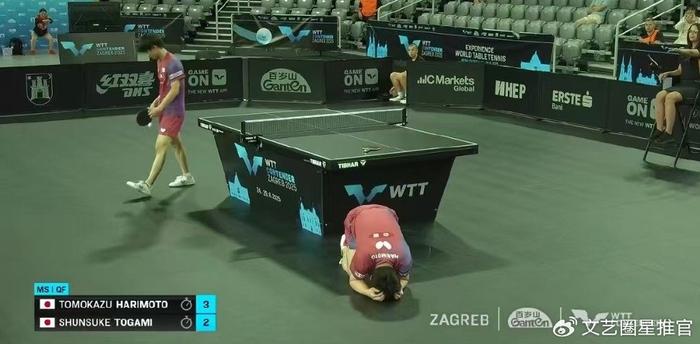 击败日本队友,张本智和庆祝,中文喊话父亲,谁注意日本队友反应